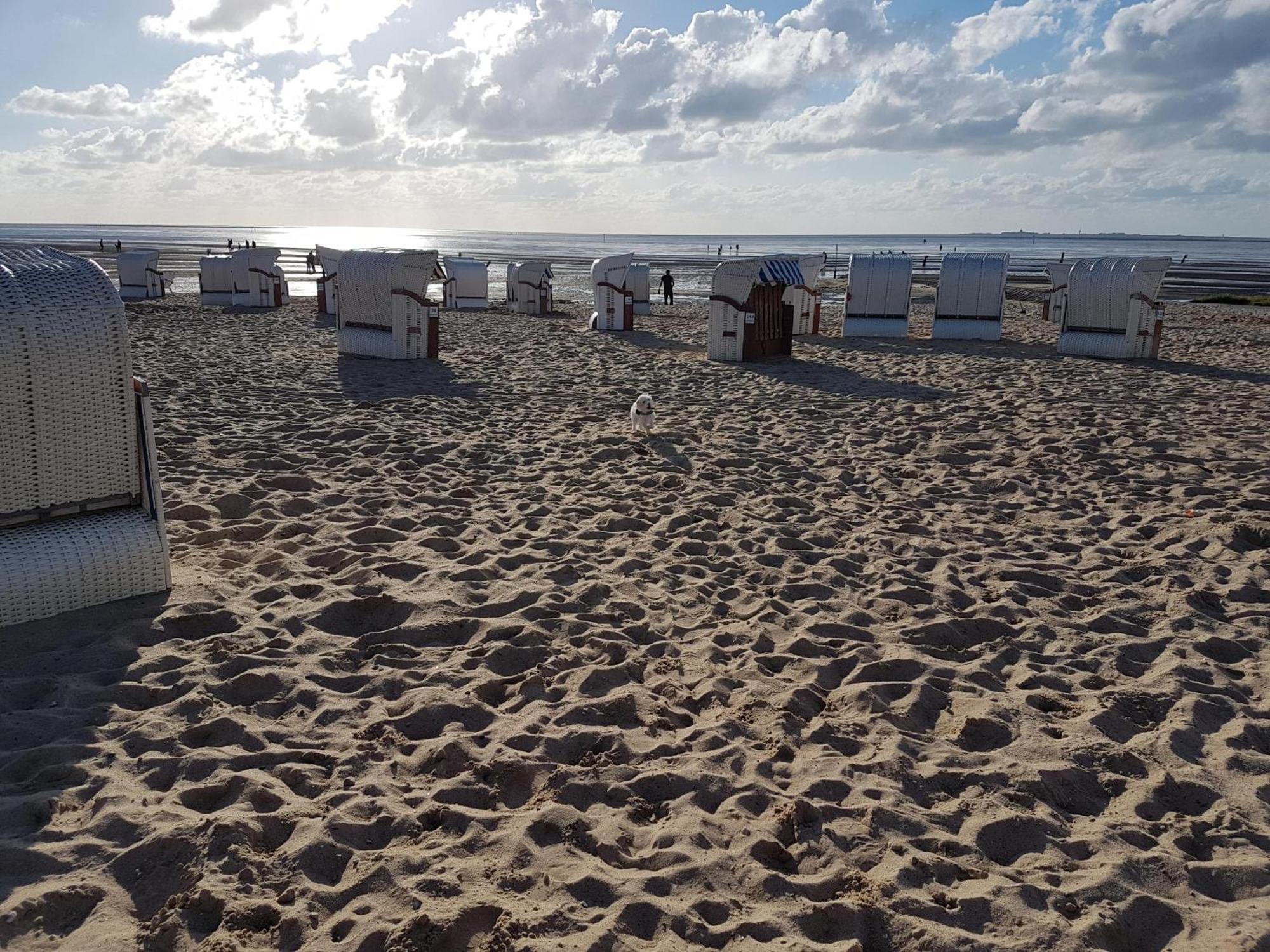 Watt & Wind - Tolles Schwimmbad Leilighet Cuxhaven Eksteriør bilde